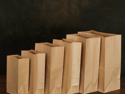 XL-FD350 Square Bottom Paper Bag Making Machine图2