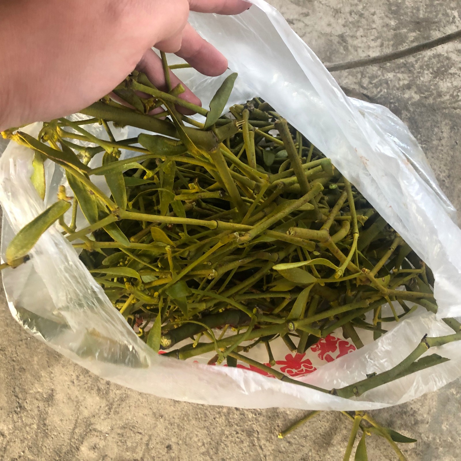 中药切片机中药切段机图5