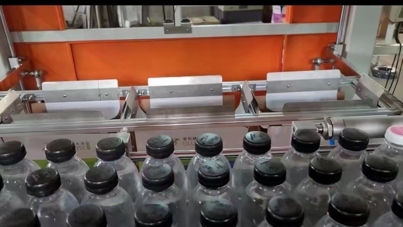 全自抓取式装箱机图4
