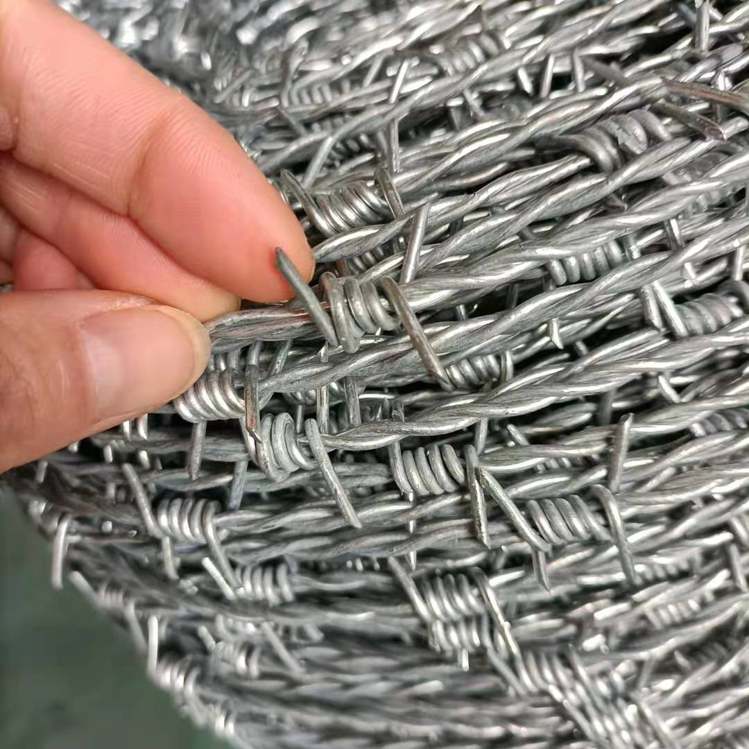 铁丝网围栏图5