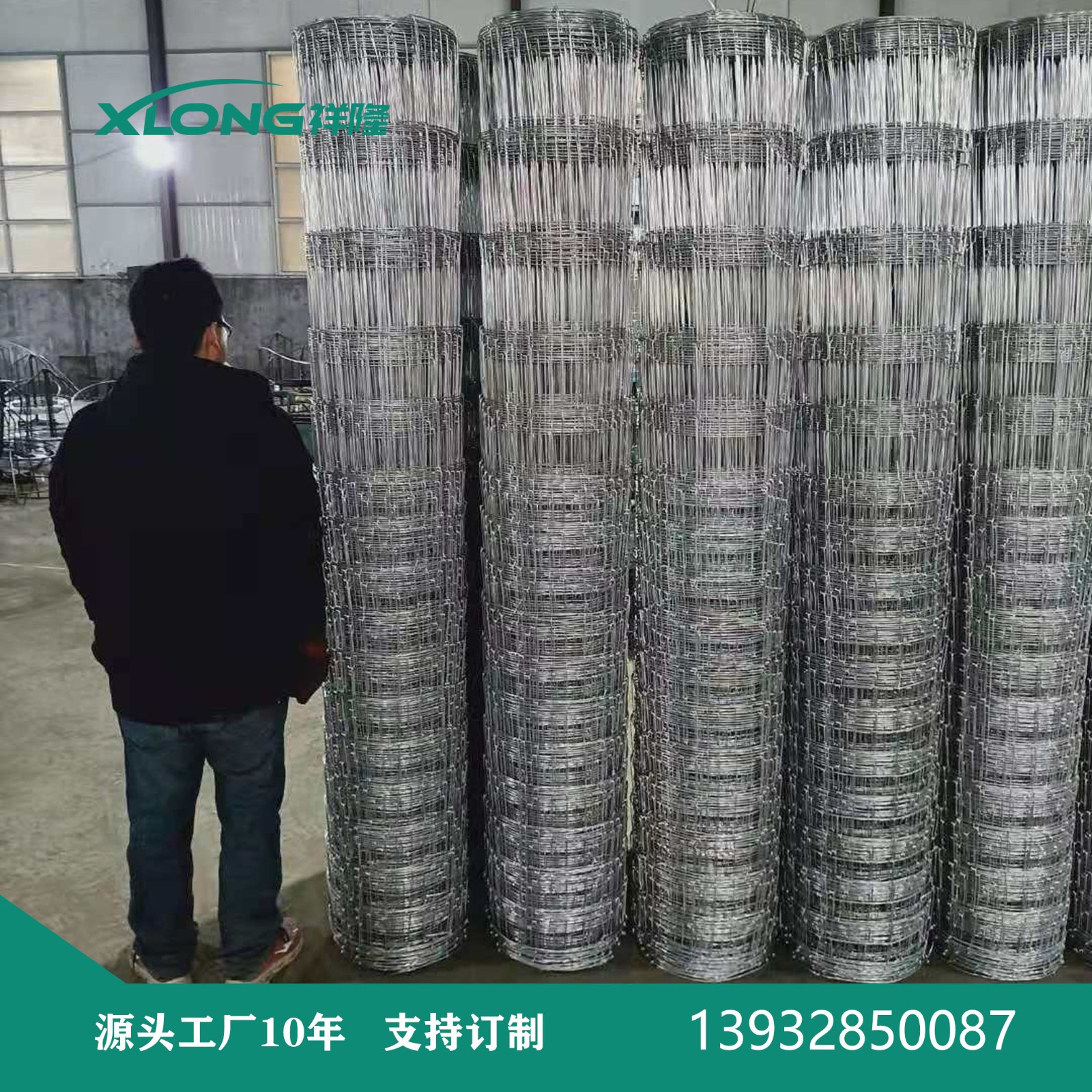铁丝网围栏图8