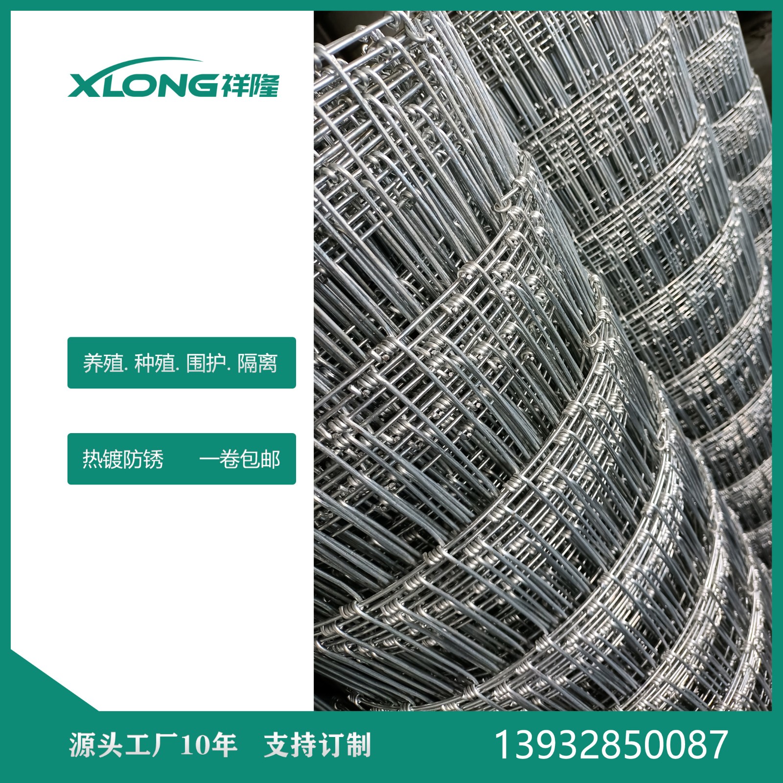 铁丝网围栏图9