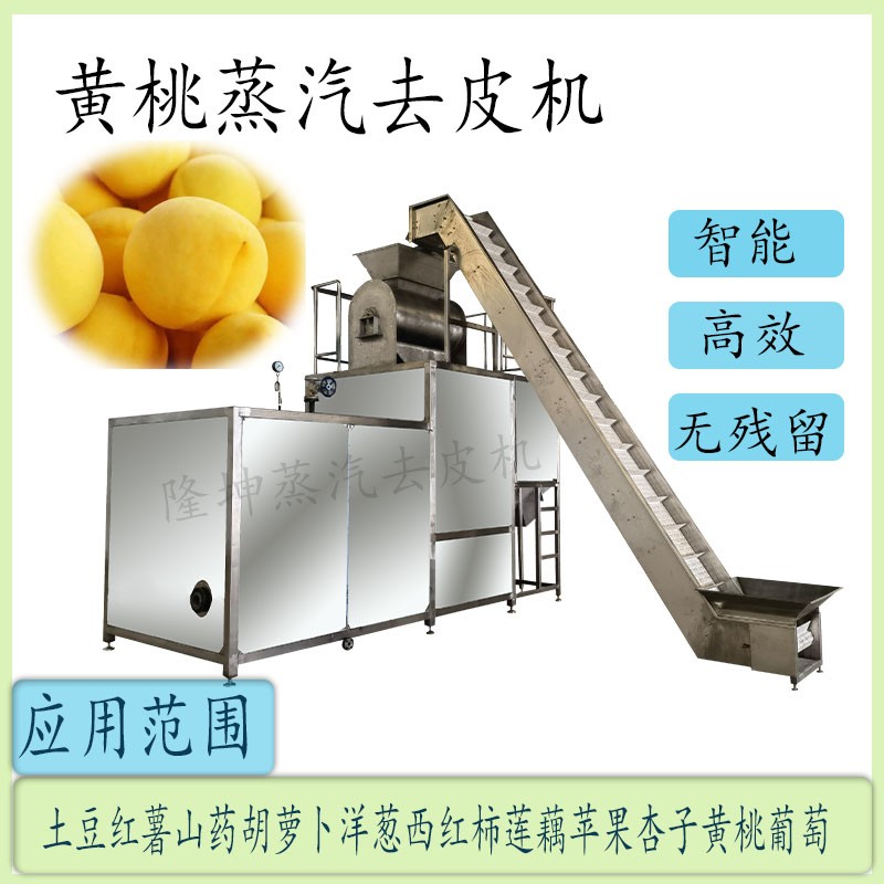 马铃薯去皮设备图4