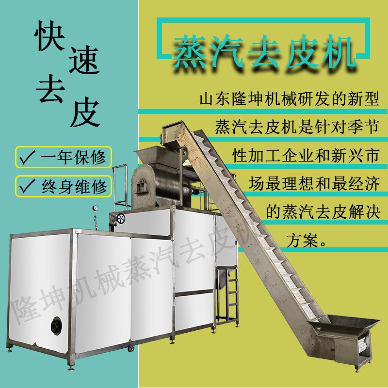 西红柿剥皮机图4