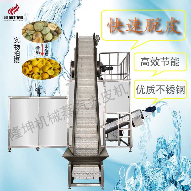 西红柿剥皮机图2