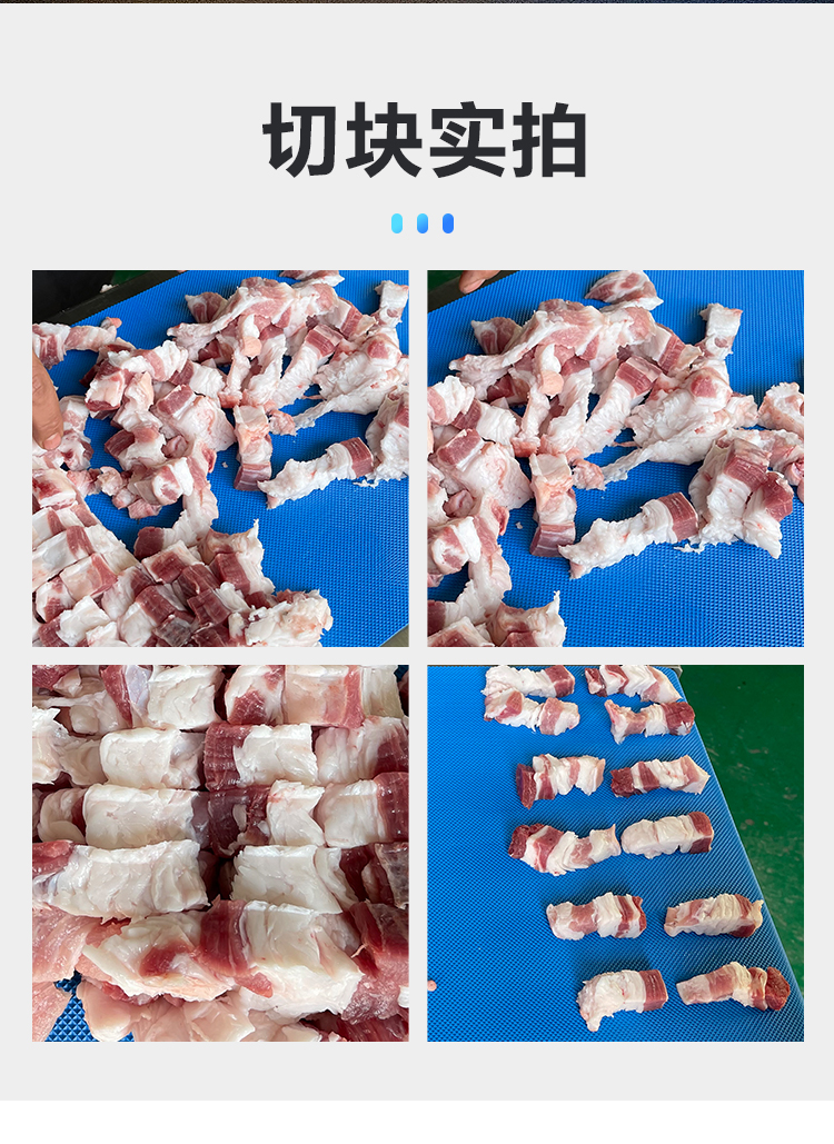 多功能鲜肉五花肉鸡鸭分条机切块机图2