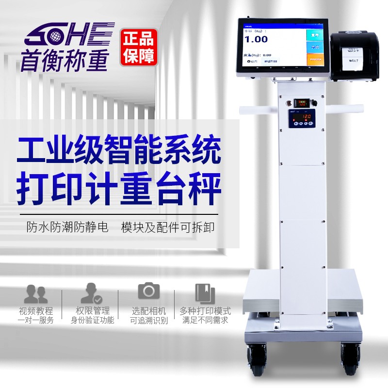 智能分拣秤图2