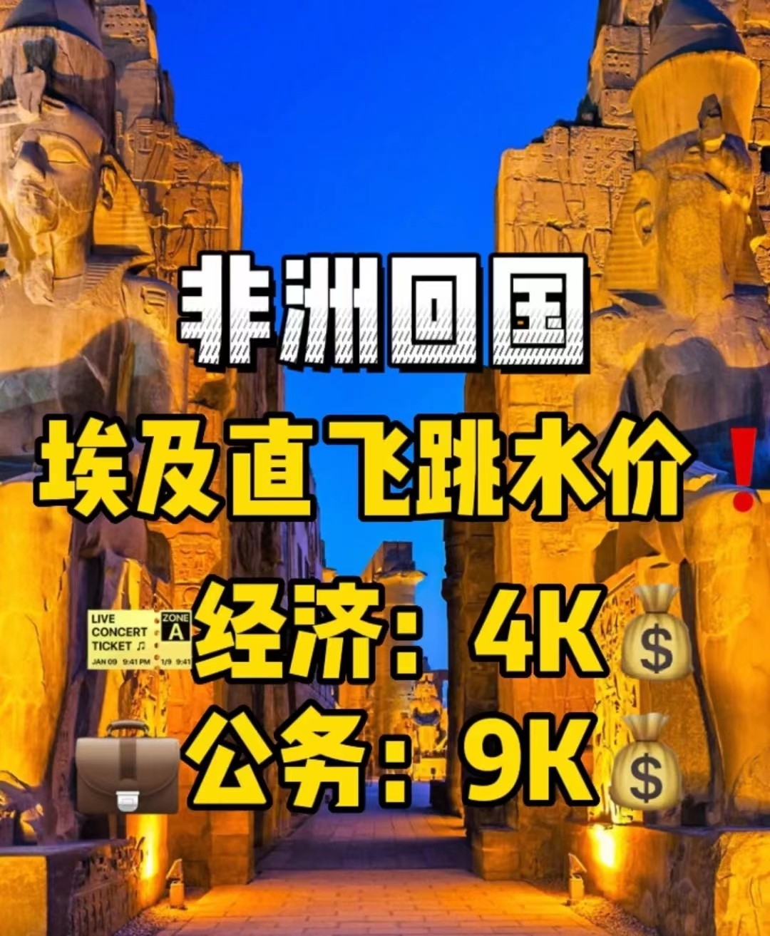 出国，回国机票图2