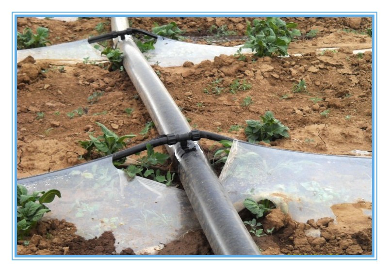agricultural irrigation system图2