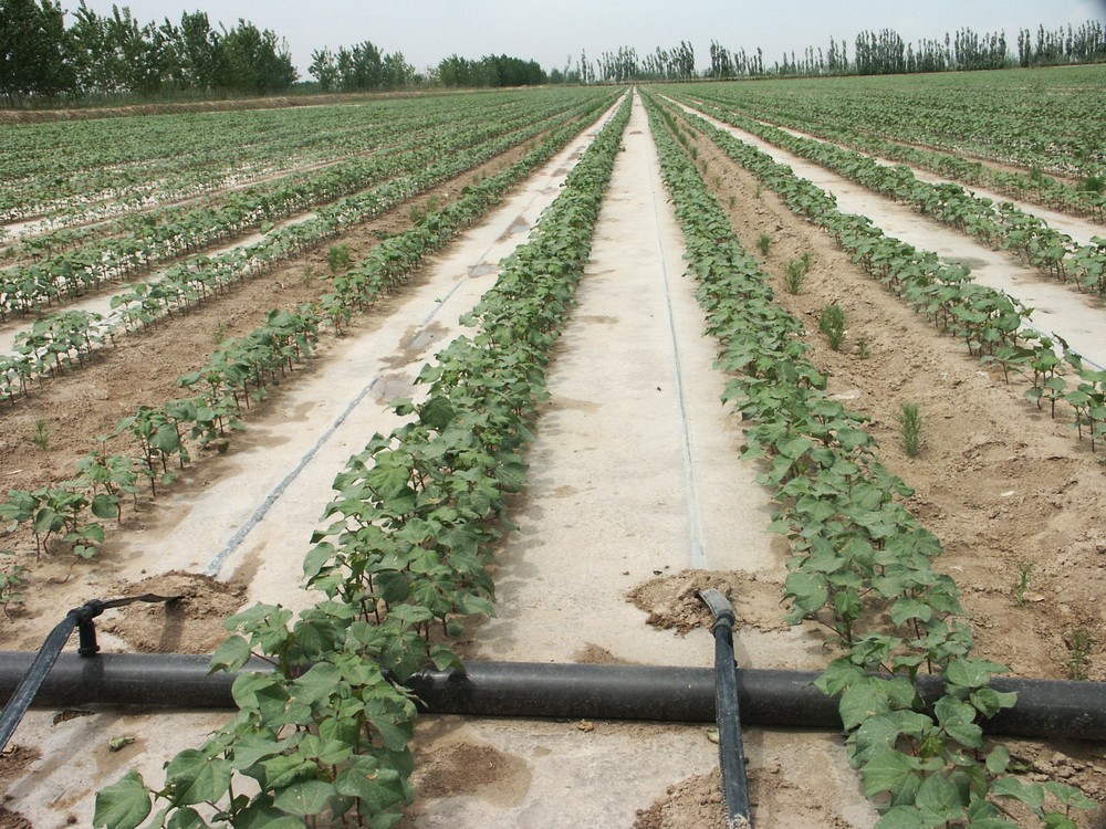agricultural irrigation system图3
