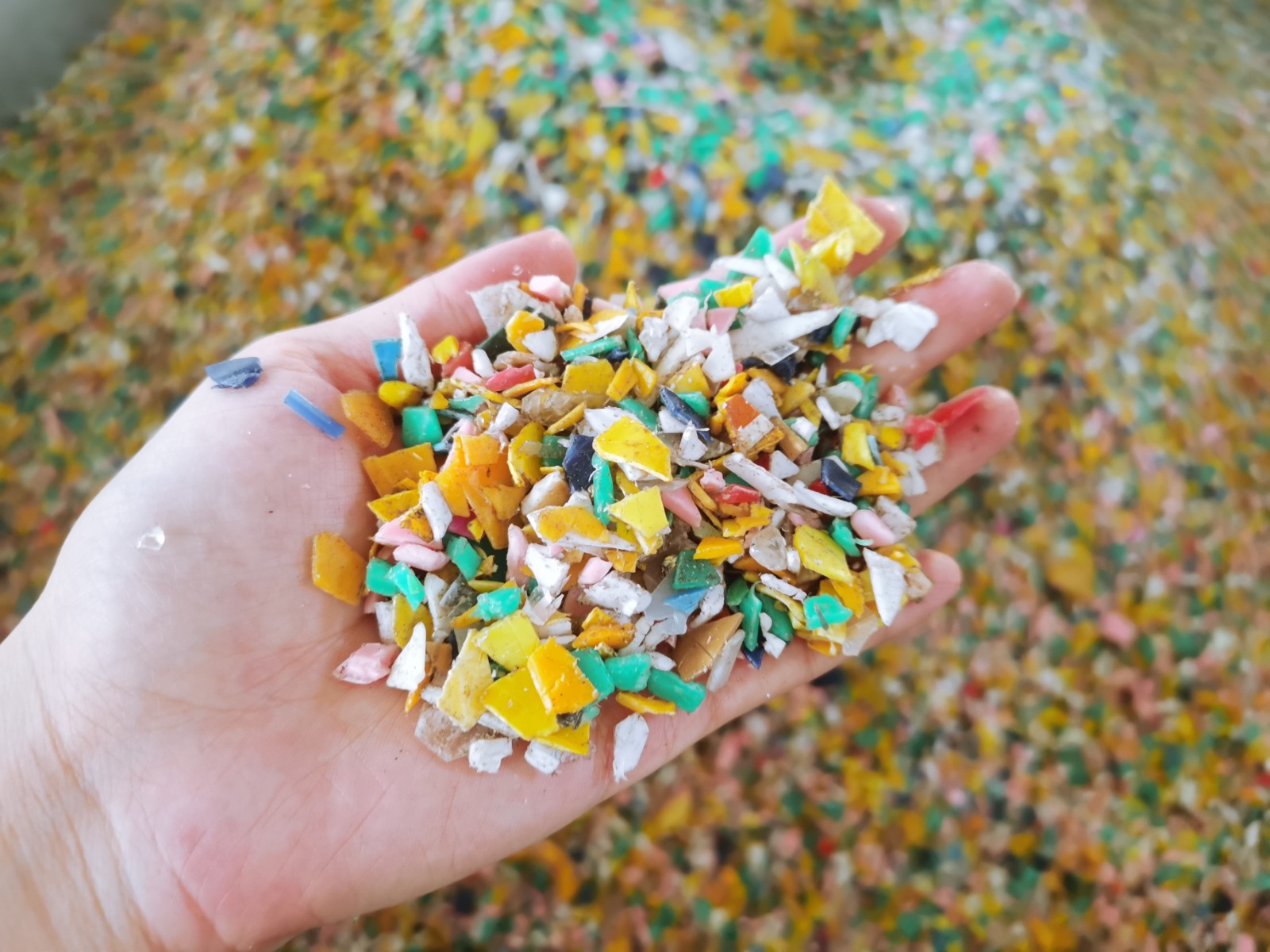 PE PP PETWaste Plastic Crusher图4