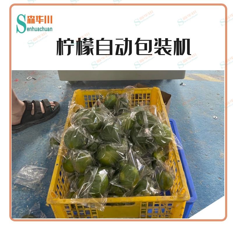 广东佛山森华川脐橙全自动包装机厂家直销图5