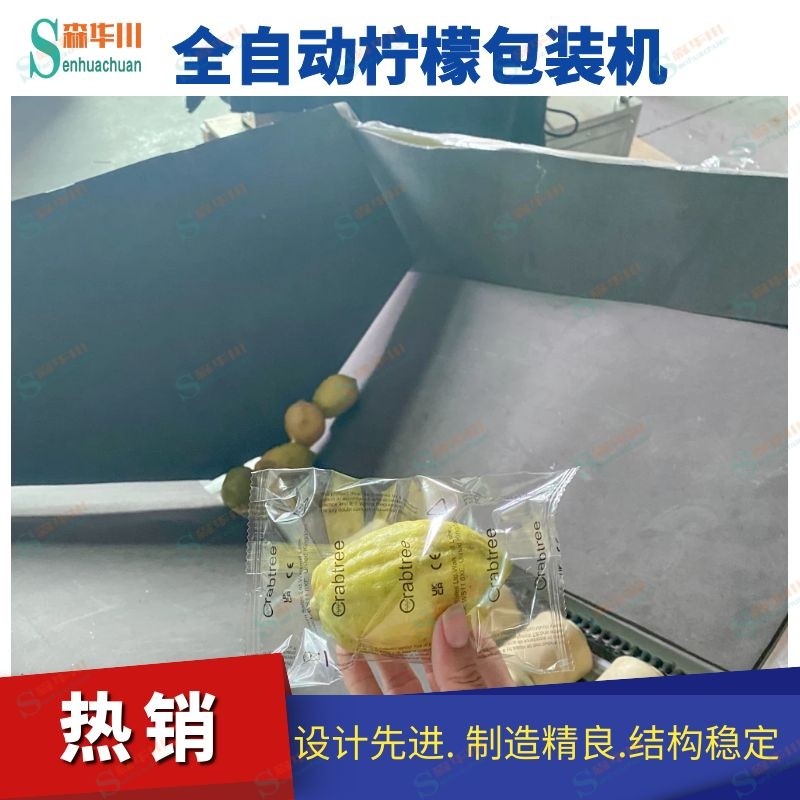 广东佛山森华川褚橙全自动包装机设备图3