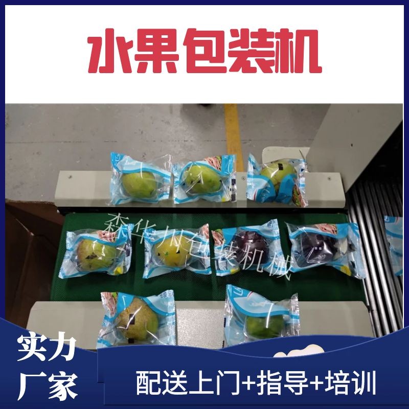 广东佛山森华川番茄包装机设备货源厂家图5