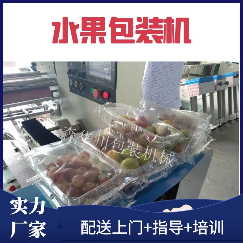 广东佛山森华川番茄包装机设备货源厂家图2