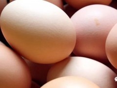 从乌干达进口昂贵的鸡蛋价格将会上涨