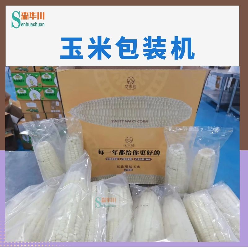 广东佛山森华川玉米棒全装自动包装机设备图2