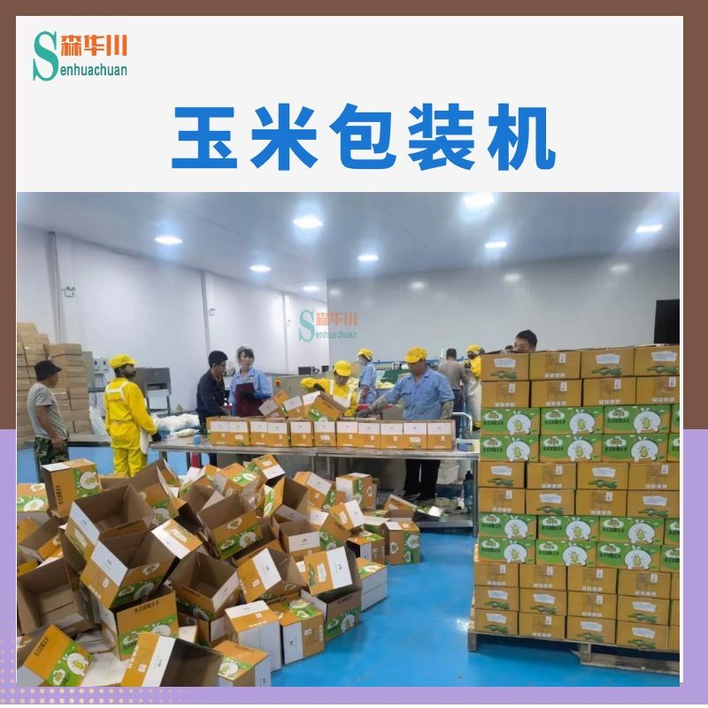广东佛山森华川苞米棒包装机设备图4