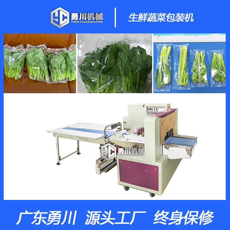 勇川机械全自动YC-250生鲜蔬菜包装
