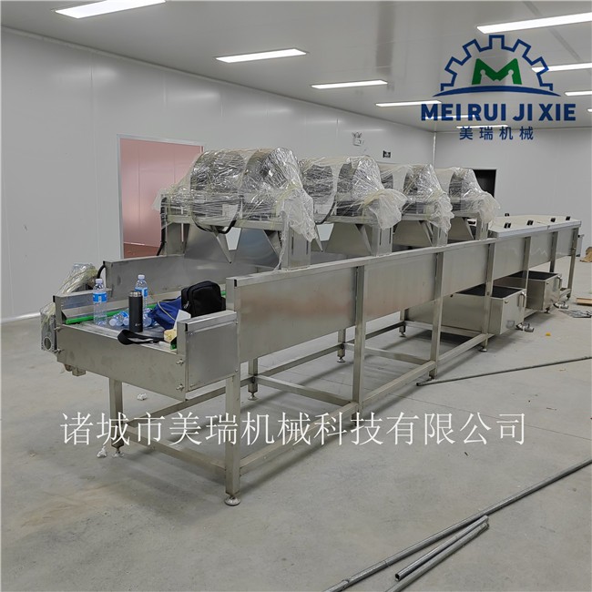 花椒清洗流水线 包装袋清洗风干流水线 全自动蔬菜清洗机图3