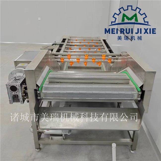 花椒清洗流水线 包装袋清洗风干流水线 全自动蔬菜清洗机图4