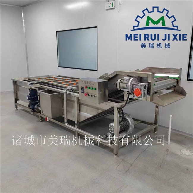 花椒清洗流水线 包装袋清洗风干流水线 全自动蔬菜清洗机图5