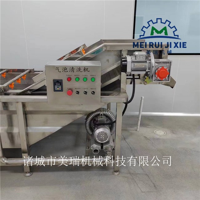 梅干菜清洗风干流水线 全自动果蔬清洗机 土豆清洗流水线图3