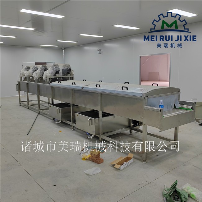 食堂蔬菜清洗风干流水线 水果蔬菜全自动清洗机 美瑞生产图6