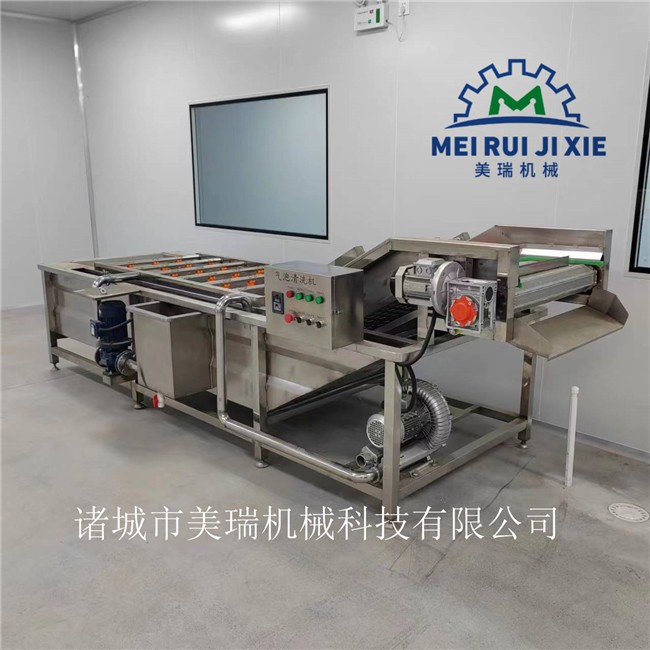 韩国泡菜加工成套设备 咸菜加工设备厂家 多功能蔬菜清洗机图5
