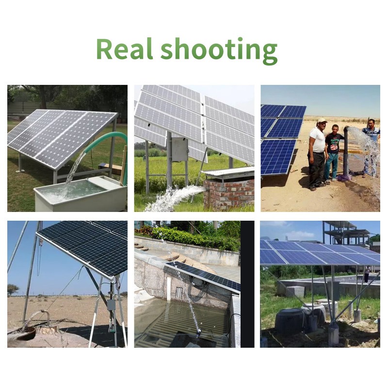 Solar  Pump图4