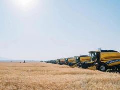 埃塞俄比亚总理阿比称该国小麦产量同比大幅增长