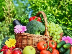 坦桑尼亚在峰会后加大园艺业投资