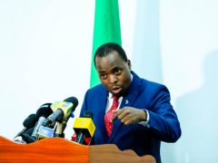 坦桑尼亚的新重大项目：城市铁路线、巴加莫约港