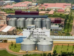 卢旺达采矿业和能源成本推动生产者价格上涨4.6%