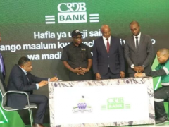 坦桑尼亚公布扶持小型采矿业的策略，该行业雇用了18000人